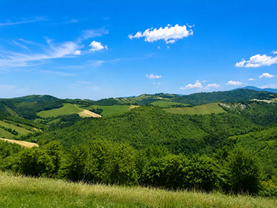 Immagine 36 di Casa bifamiliare in vendita  in Talignano a Sala Baganza