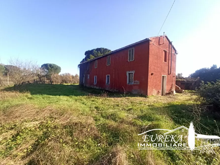 Immagine 3 di Rustico / casale in vendita  a Castiglione Del Lago