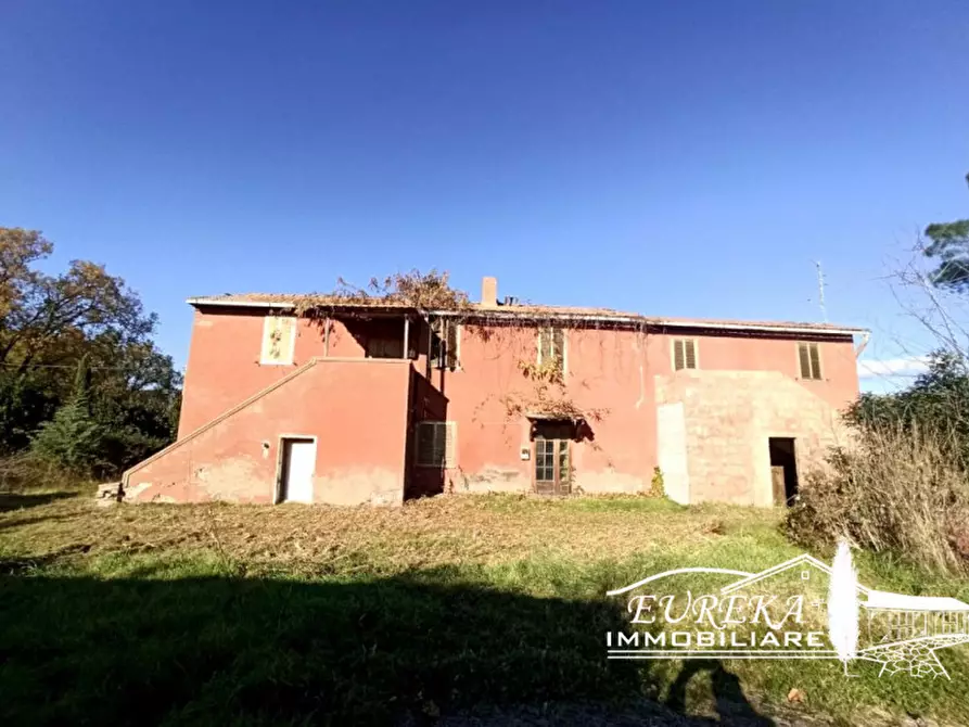 Immagine 4 di Rustico / casale in vendita  a Castiglione Del Lago