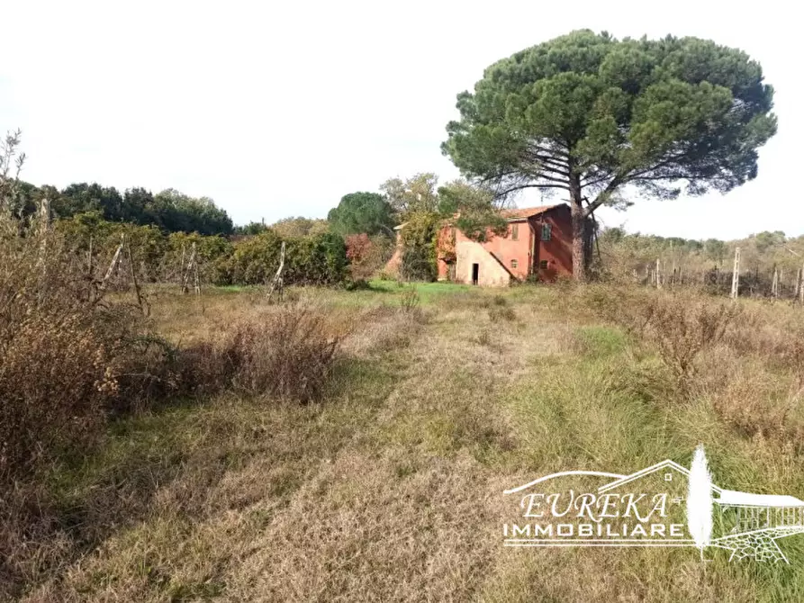 Immagine 20 di Rustico / casale in vendita  a Castiglione Del Lago