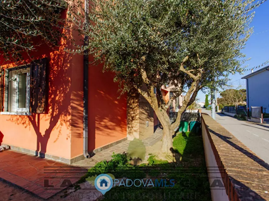 Immagine 33 di Casa indipendente in vendita  in Via Broglio a Solesino