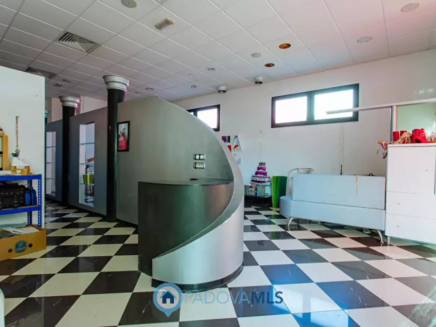 Immagine 47 di Casa indipendente in vendita  in Via Broglio a Solesino