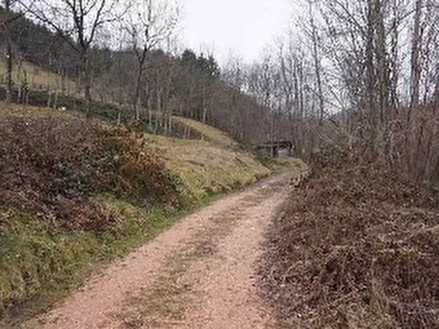 Immagine 3 di Terreno in vendita  in VIA GISBENTI a Valli Del Pasubio