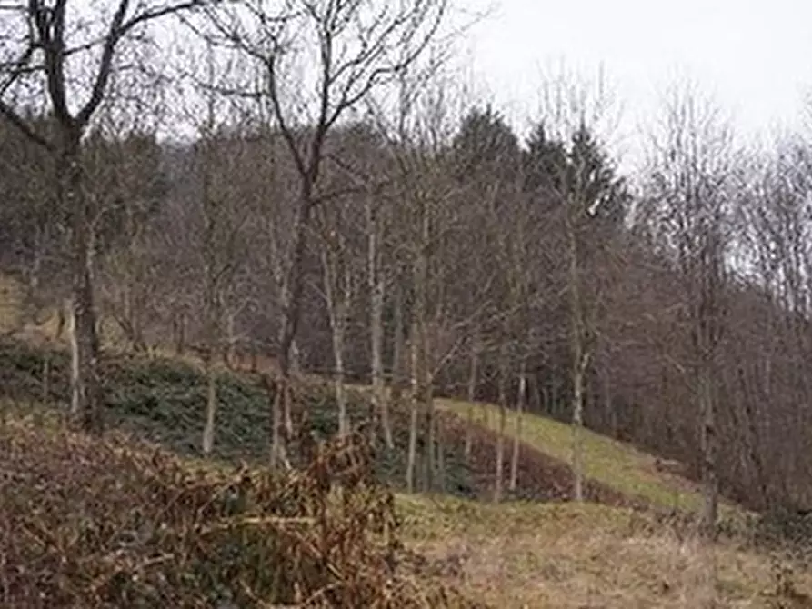 Immagine 4 di Terreno in vendita  in VIA GISBENTI a Valli Del Pasubio