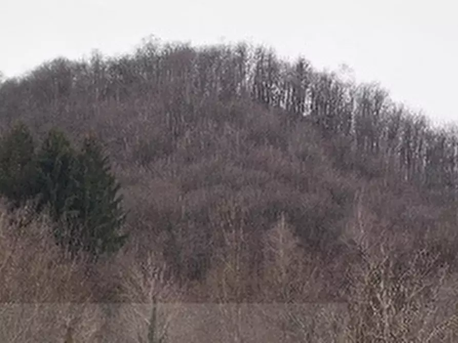 Immagine 5 di Terreno in vendita  in VIA GISBENTI a Valli Del Pasubio