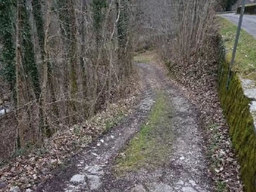 Immagine 6 di Terreno in vendita  in VIA GISBENTI a Valli Del Pasubio