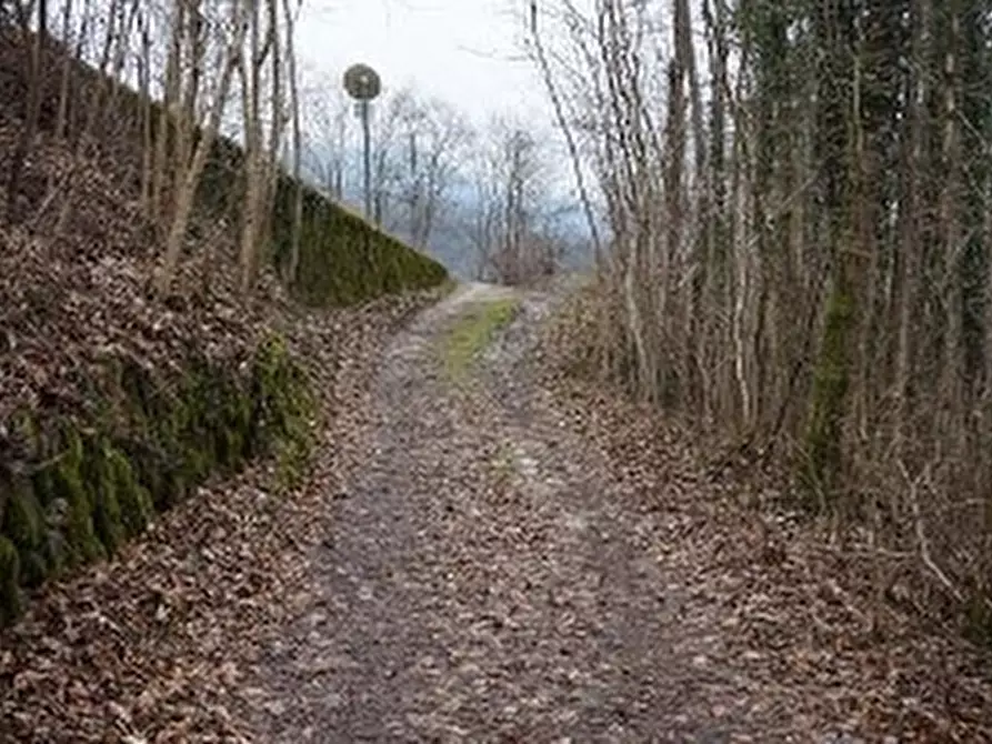 Immagine 7 di Terreno in vendita  in VIA GISBENTI a Valli Del Pasubio