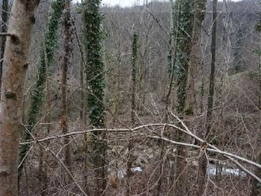 Immagine 8 di Terreno in vendita  in VIA GISBENTI a Valli Del Pasubio