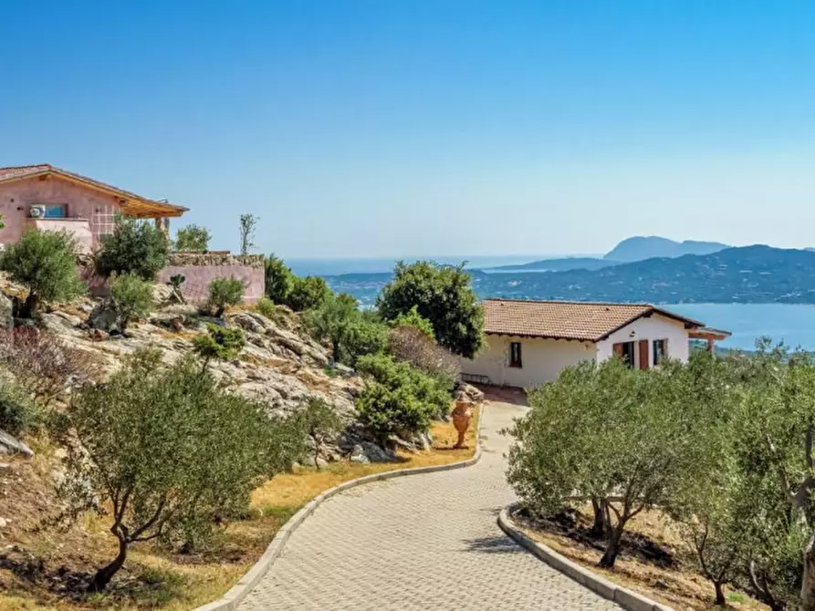 Immagine 3 di Villa in vendita  in via cugnana a Olbia