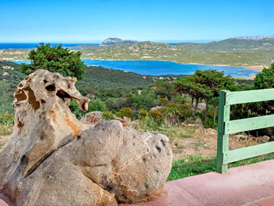 Immagine 38 di Villa in vendita  in via cugnana a Olbia