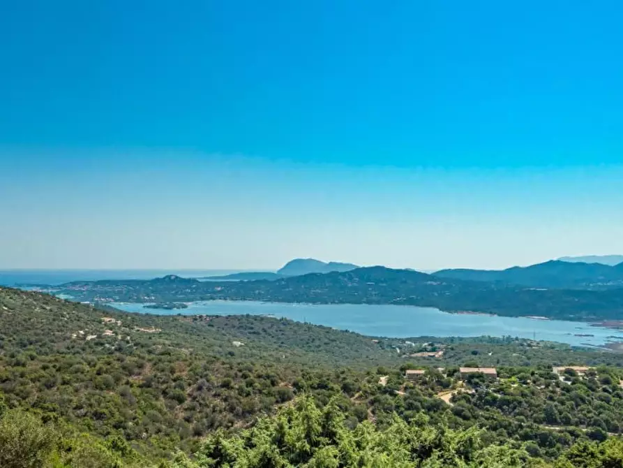 Immagine 41 di Villa in vendita  in via cugnana a Olbia