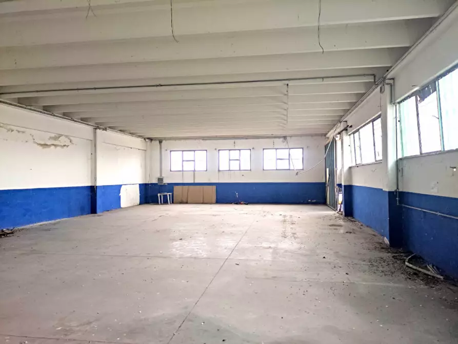 Immagine 5 di Magazzino in vendita  a Vedelago