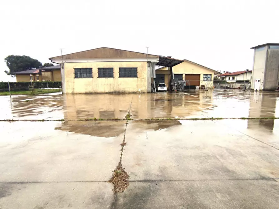 Immagine 8 di Magazzino in vendita  a Vedelago