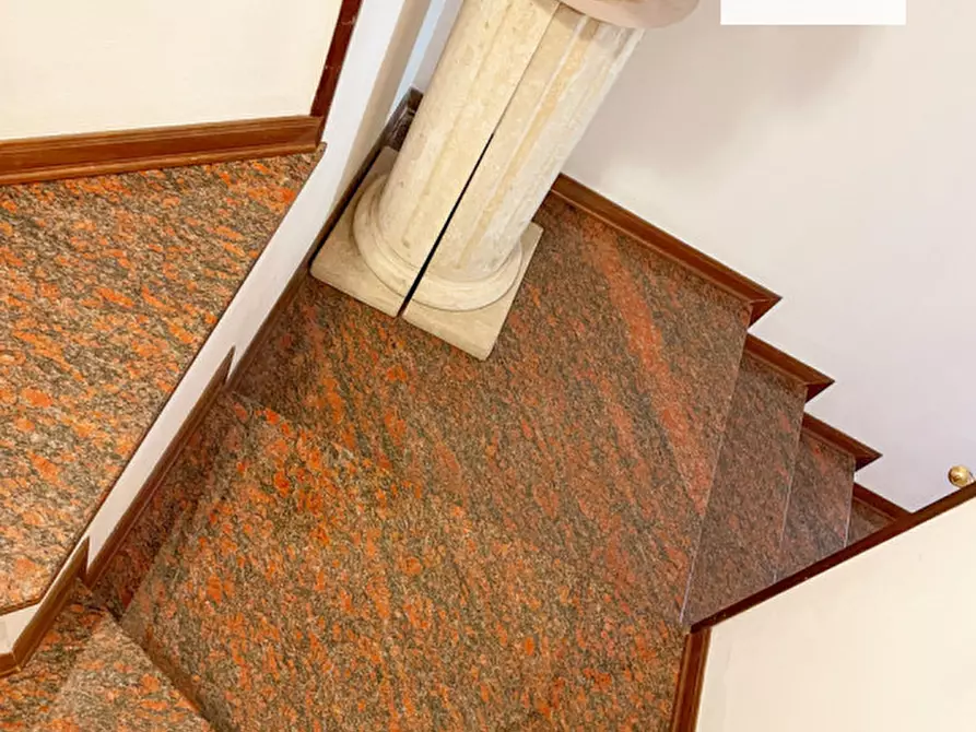 Immagine 21 di Villa in vendita  a Solesino