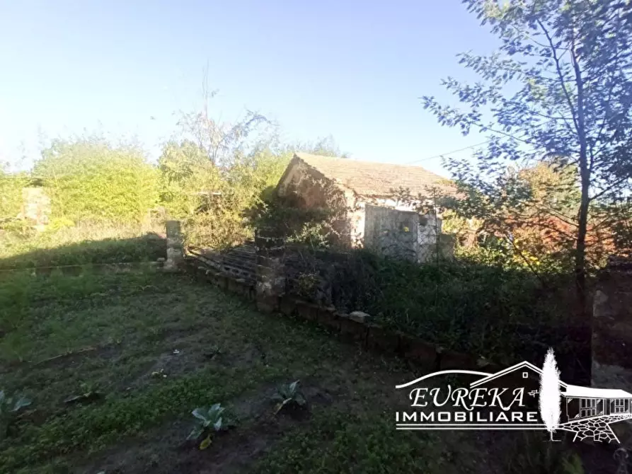 Immagine 9 di Terreno in vendita  a Castiglione Del Lago