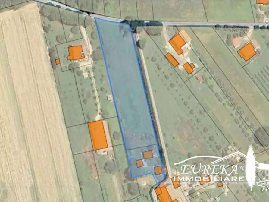 Immagine 10 di Terreno in vendita  a Castiglione Del Lago