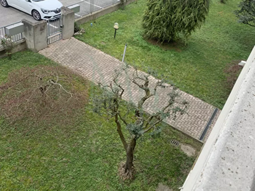 Immagine 3 di Appartamento in vendita  in Via Roma a Saonara