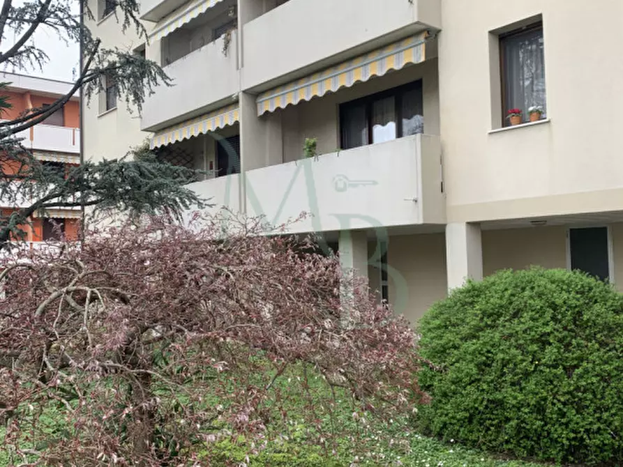 Immagine 5 di Appartamento in vendita  in Via Roma a Saonara