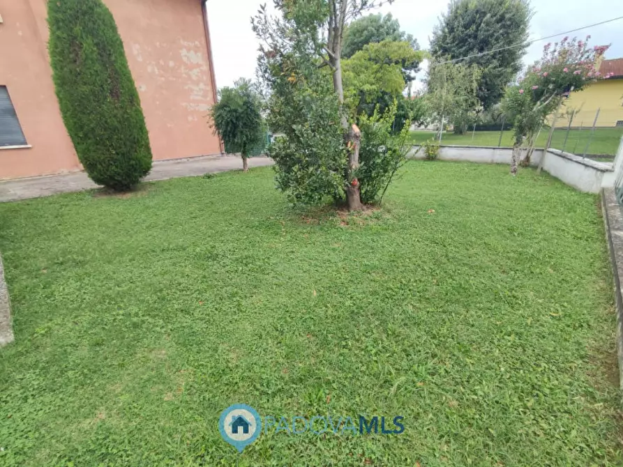 Immagine 21 di Appartamento in vendita  in Via Selve, 20 a Teolo