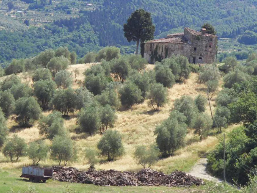 Immagine 1 di Agriturismo in vendita  in pelago località altomena a Pelago