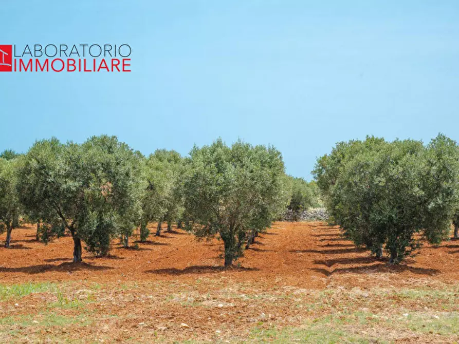 Immagine 72 di Villa in vendita  in C.da Pezze Morelli a Carovigno
