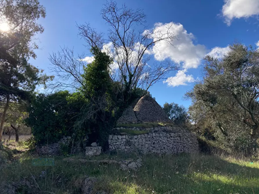 Immagine 4 di Rustico / casale in vendita  in CONTRADA GIOVANNELLO a Ceglie Messapico