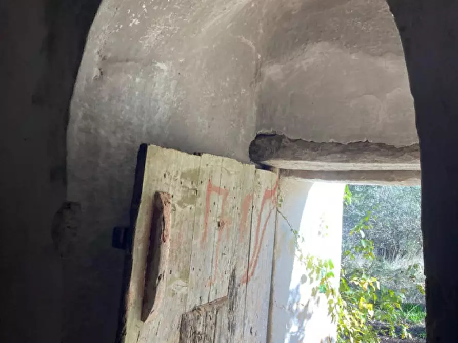 Immagine 6 di Rustico / casale in vendita  in CONTRADA GIOVANNELLO a Ceglie Messapico