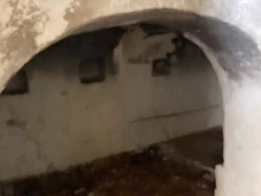 Immagine 8 di Rustico / casale in vendita  in CONTRADA GIOVANNELLO a Ceglie Messapico