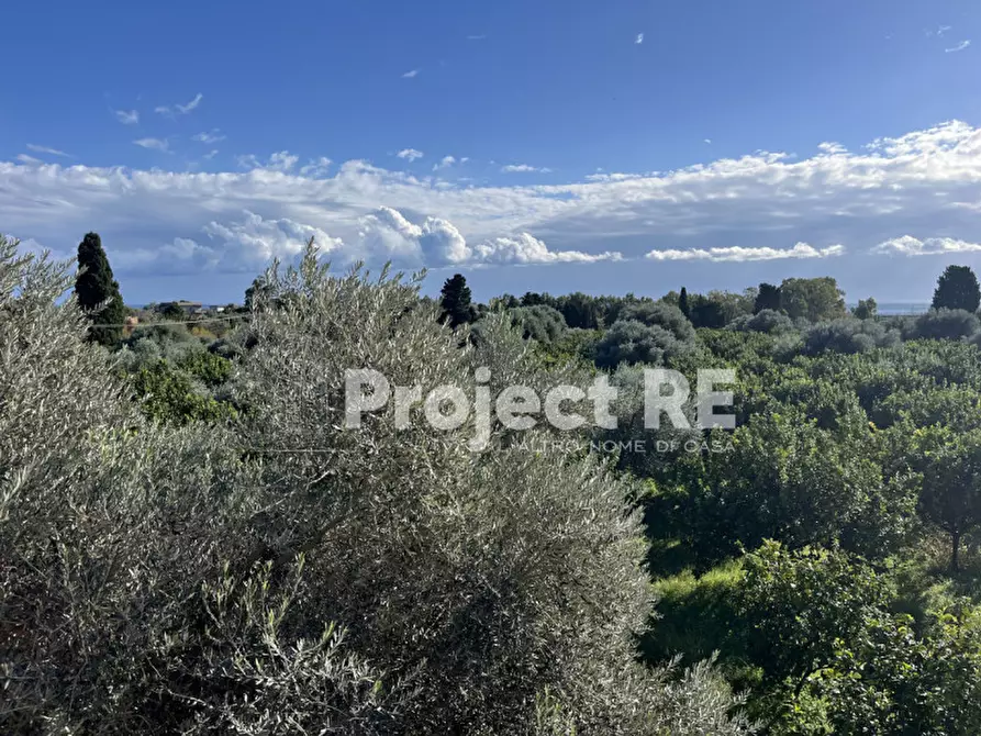 Immagine 31 di Villa in vendita  in Strada Statale 106 km 111  Roccella Jonica a Roccella Ionica