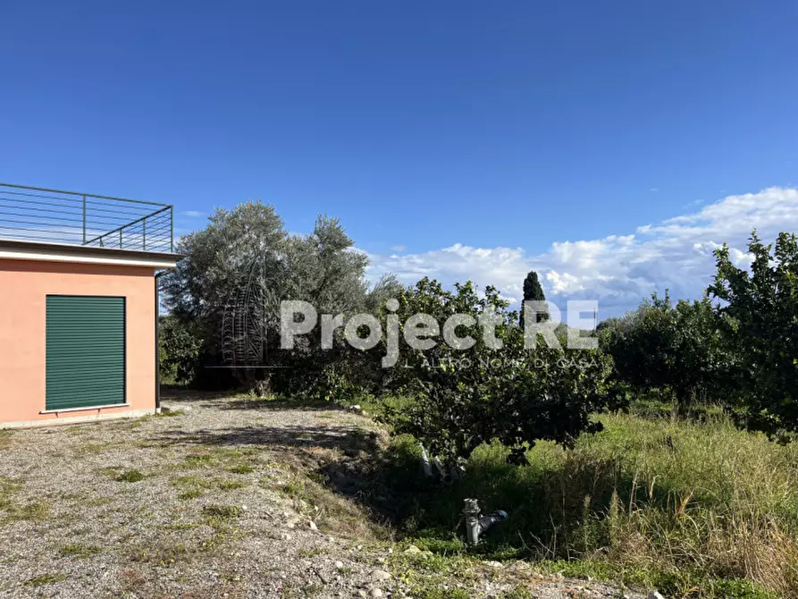 Immagine 54 di Villa in vendita  in Strada Statale 106 km 111  Roccella Jonica a Roccella Ionica