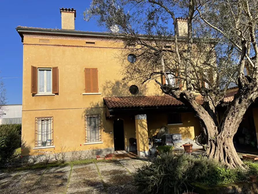 Immagine 39 di Villa in vendita  a Suzzara