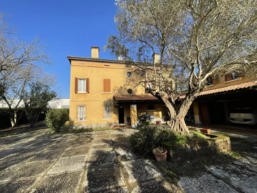 Immagine 40 di Villa in vendita  a Suzzara