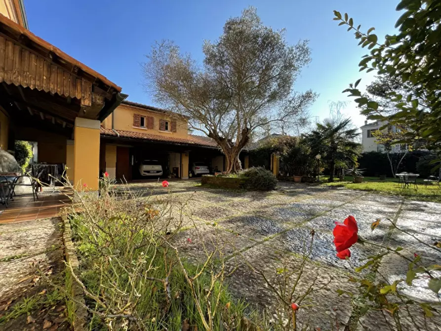 Immagine 42 di Villa in vendita  a Suzzara