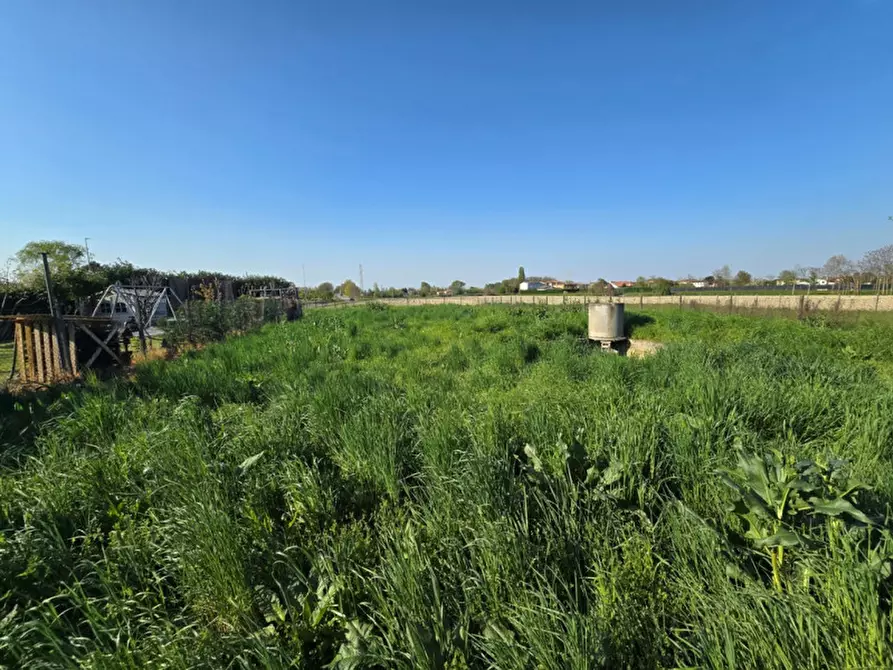 Immagine 6 di Villetta a schiera in vendita  in Vigonovo a Vigonovo