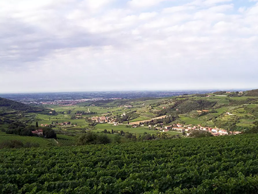 Immagine 1 di Appartamento in vendita  in via venti settembre a San Martino Buon Albergo