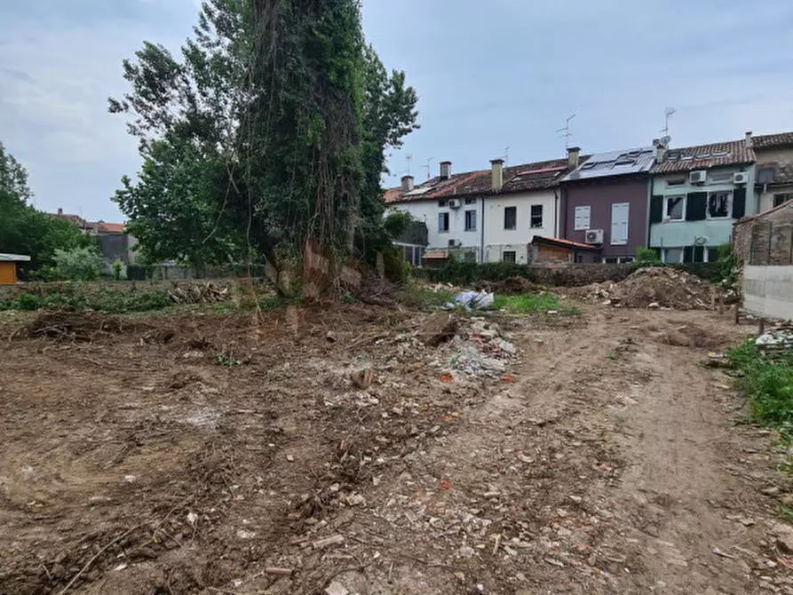Immagine 2 di Terreno in vendita  a Lonigo