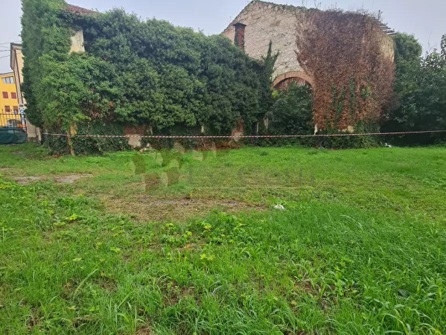Immagine 3 di Terreno in vendita  a Lonigo
