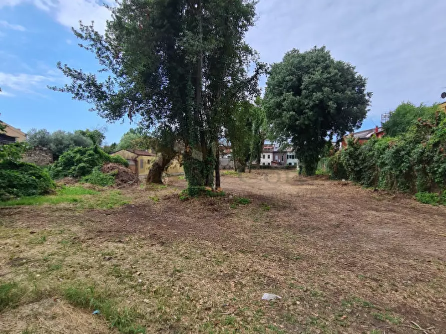 Immagine 5 di Terreno in vendita  a Lonigo