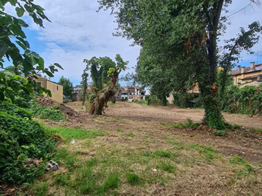 Immagine 6 di Terreno in vendita  a Lonigo