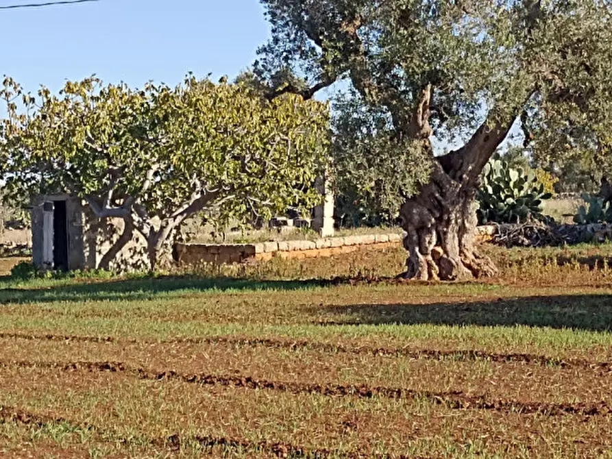 mansarda in vendita a Fasano