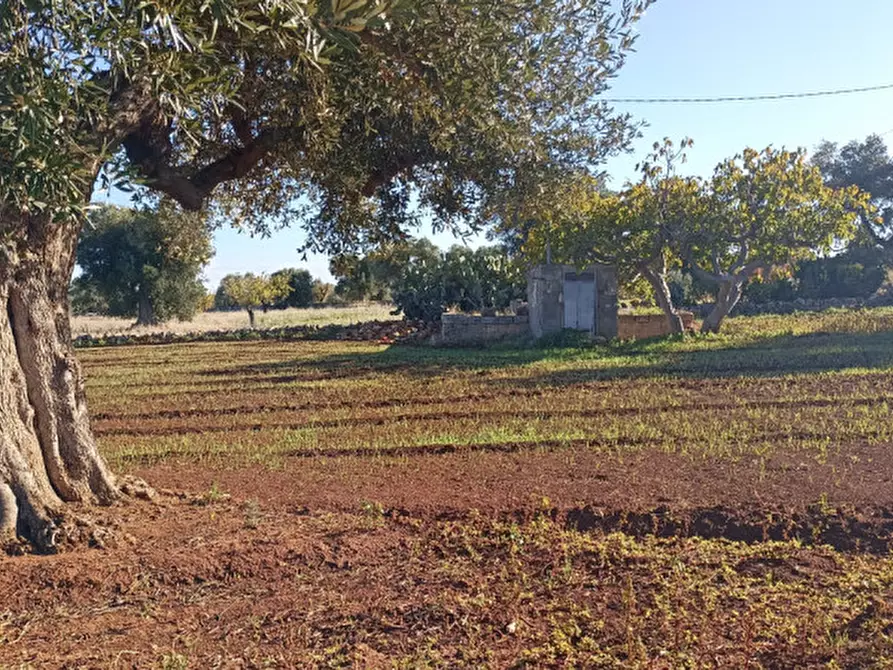 Immagine 8 di Terreno in vendita  in Lamascopone a Fasano