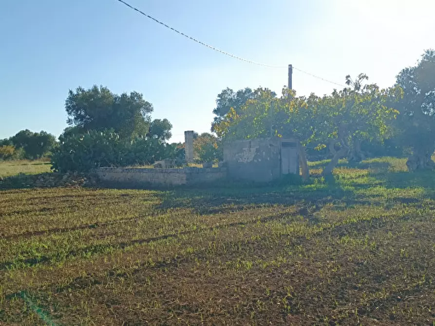 Immagine 9 di Terreno in vendita  in Lamascopone a Fasano