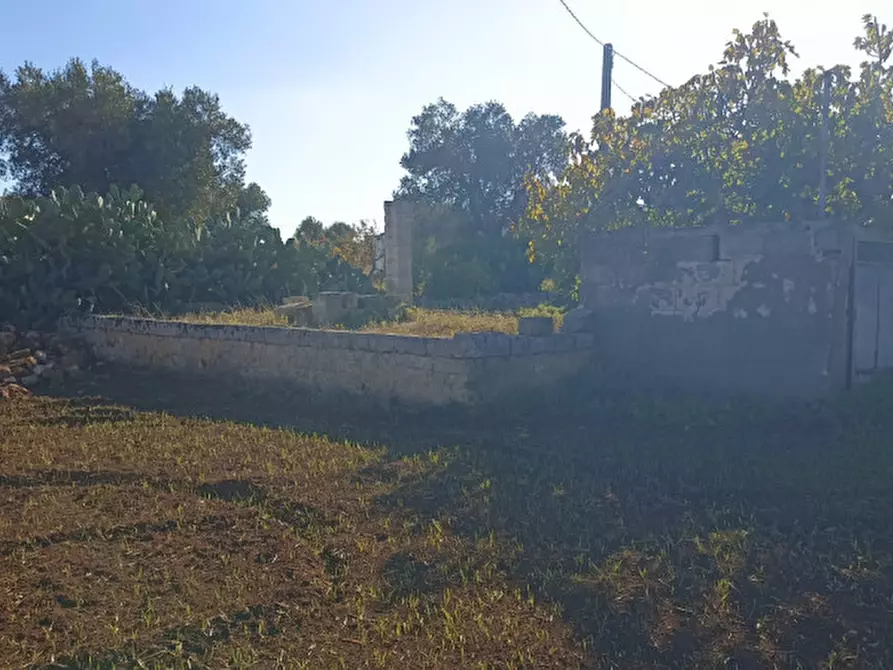 Immagine 10 di Terreno in vendita  in Lamascopone a Fasano
