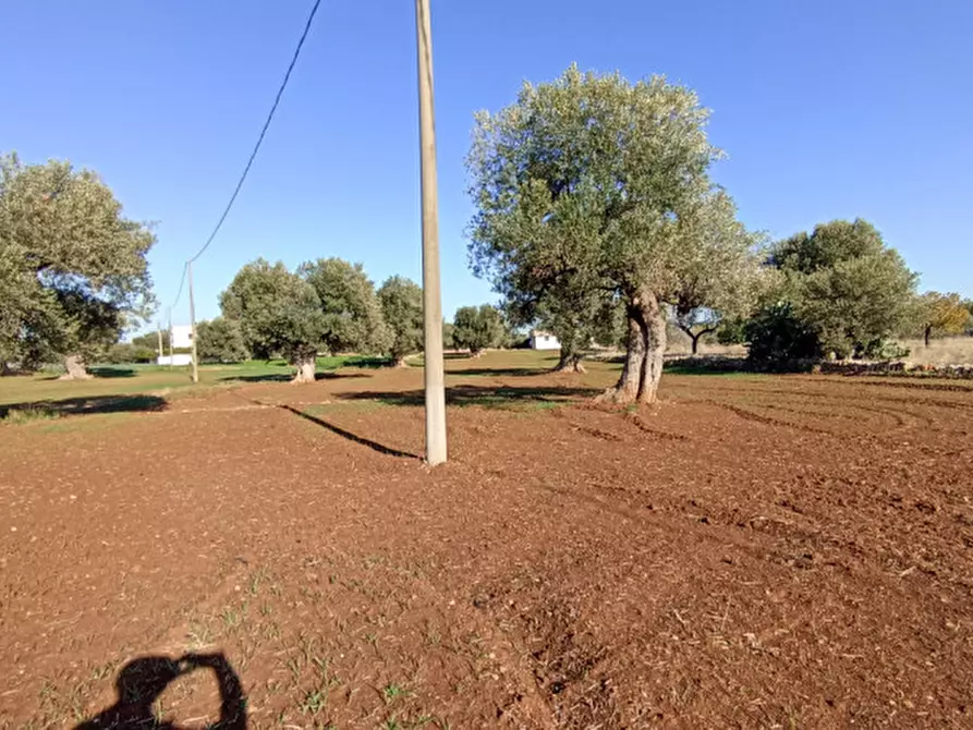 Immagine 11 di Terreno in vendita  in Lamascopone a Fasano