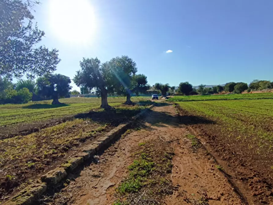 Immagine 12 di Terreno in vendita  in Lamascopone a Fasano