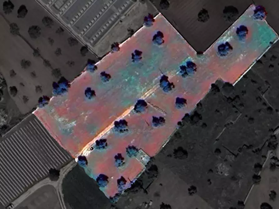 Immagine 13 di Terreno in vendita  in Lamascopone a Fasano