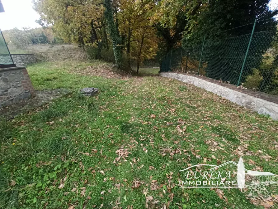 Immagine 4 di Villa in vendita  in ospedaletto a San Venanzo