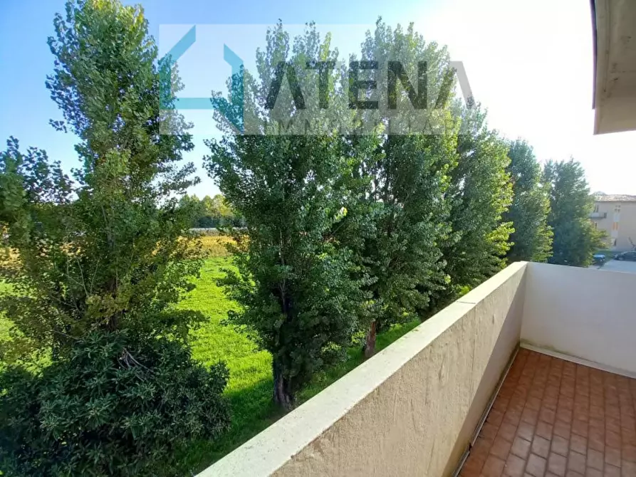 Immagine 15 di Camera in affitto  in via baffin a Padova