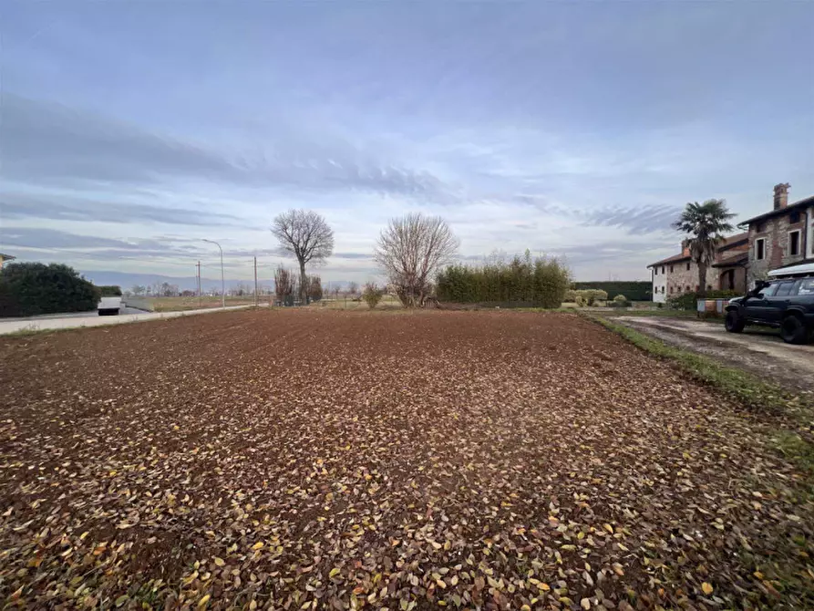 Immagine 6 di Terreno in vendita  a Isola Vicentina
