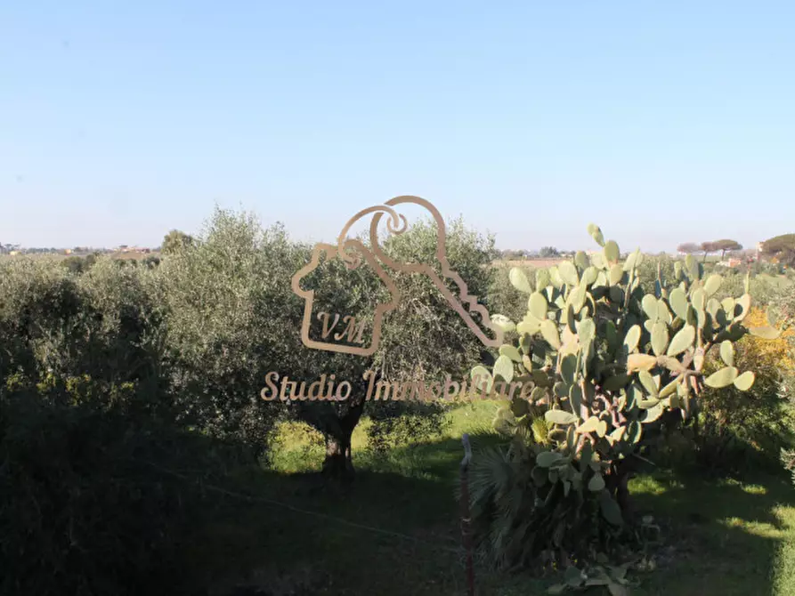 Immagine 20 di Villa in vendita  in Via Pian di Frasso a Ardea